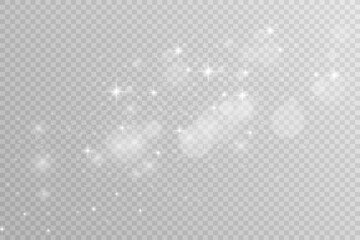 Poster - Brilliant dust vector shine. Glittering shiny ornaments for background. Vector illustration.
