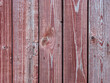 Old plank wooden wall made of boards. Old wooden boards with red nails with peeling paint abstract texture background.