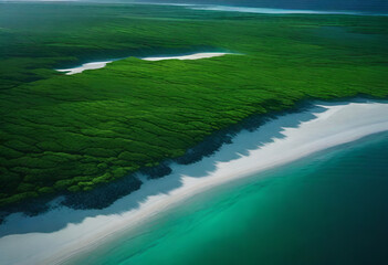 wonderful blue shore with great green plants on the land