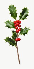 Poster - A close-up image of a branch of holly with vibrant red berries against a clean white background. This versatile picture can be used for various holiday-themed designs and festive decorations