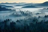 Aerial view of foggy woodland at dawn. Generative AI