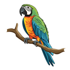 Wall Mural - Hand Drawn Flat Color Parrot Illustration