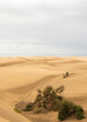 View over the dunes of Maspalomas on Gran caniria