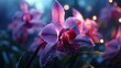 A close encounter with an Aurora Orchid in mesmerizing