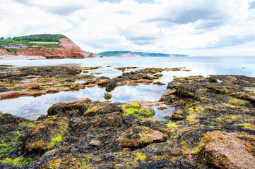 Wall Mural - Rock formations in Ladram Bay, United Kingdom. View of the beach and red and orange cliffs and the sea, Jurassic coast, selective focus