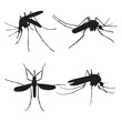 mosquito silhouette isolated black on white background