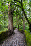 Fototapeta Krajobraz - Picturesque paths in the forests of Ecuador on the outskirts of the city of Otavalo.