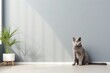  tranquil black cat sits beside a gray wall with a green plant in a white vase on a light floor