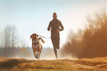 Concept Lifestyle Healthy Morning Sunny Dog Beagle Runs Man Exercises Canicross  Cross Dog Exercise Fit Fitness Health Healthy Jogger Jogging Man Marathon Nature People Pet Run Runner Sport