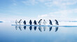antarctic penguins on the icebergs