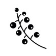 mistletoe branch icon