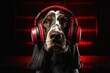 dog headphones sitting front red wall banner streaming attribution vocalist volume flutter origin profile hear evil