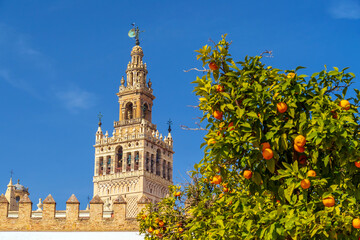 Wall Mural - Giralda tower and Seville Cathedral in oldtown Spain