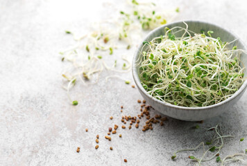 Wall Mural - Microgreens grown in a jar.