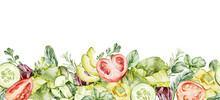 Seamless Border Pattern Of Watercolor Avocado, Tomatoes, Cucumbers, Lettuce, Greens For Salad. Isolated On A White Background. Healthy Food Concepts.