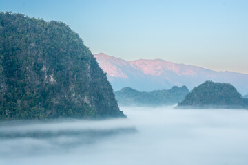 Wall Mural - Aerial view of flowing fog  on mountain tropical rainforest in the morning