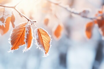 Wall Mural - frozen branch with autumn leaves autumn winter background