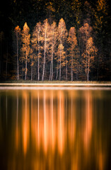 Wall Mural - autumn trees reflected in water