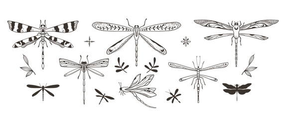 Wall Mural - Mystical ornate dragonfly and moth isolated clipart bundle, magic black and white insects and leaves silhouettes in vector, unreal hand drawn entomology set, isolated elements