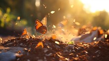 Bunch Of Butterflies Puddling On The Ground And Flying In Nature, Butterflies Swarm Eats Minerals
