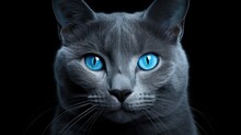 Blue Cat With Blue Eyes On A Black Background. 3d Rendering Generative AI