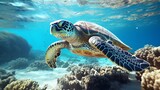 Fototapeta Do akwarium - Hawksbill Turtle - Eretmochelys imbricata drifts beneath water. coral reef