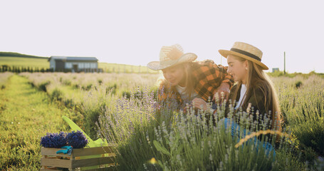 Cheerful and successful mother and daughter farmers wearing hats take care of lavender flowers on a green field at sunset. A woman and a girl are talking and working in the field. Small family