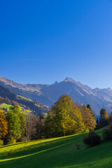 Canvas Print - Typical landscape near Sankt Gerold and Bludenz, Bregenzer Wald, Bregenz district, Vorarlberg, Austria