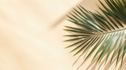 Poster - Top view of green tropical leaf shadow on sand color background. Flat lay. Minimal summer concept with palm tree leaf. Creative copyspace.