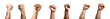 Collection of holding fists up, hand gesture . isolated on a transparent background (PNG cutout or clipping path).
