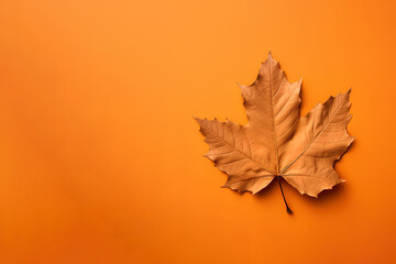 Autumn dried leaf on an orange background with copy space