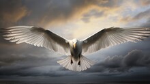 Majestic White Bird In Flight, Wings Spread Wide Against A Stormy Sky Backdrop.