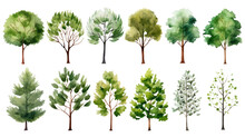 Set Of Watercolor Trees Collection On Transparent Background