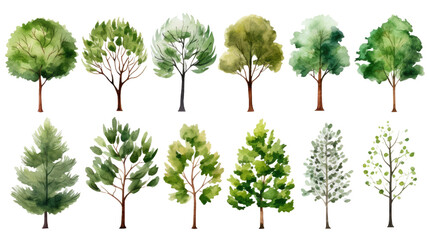 Set of Watercolor trees collection on transparent background