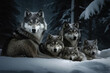 © Ahsan ullah - Group of wolfs in the winter forest. Animals in the wild.