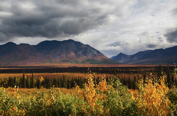 Wall Mural - Autumn in polar tundra