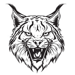 angry lynx sketch hand drawn sketch vector