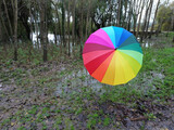 Fototapeta Tęcza - Colorful umbrella in the rain. Gay flag colours.
