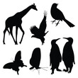 Forest wild animals silhouettes vector illustration