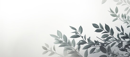 Sticker - Blurred blending effect creates a natural light photo on a backdrop of gray with foliage casting a shadow