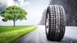 Contrast in Traction: The Transition from Summer Roads to Winter Safety car tire