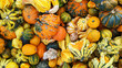 Pumpkins and Gourds at the Farmers Market, Close-up Pumpkins Top Down
