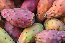 Prickly Pears Fruit Close Up. Organic Food