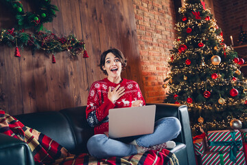 Sticker - Photo of lovely young lady sit sofa netbook excited touch chest dressed stylish red sweater christmas tree decorated interior living room