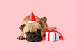 Cute pug dog in Santa hat with Christmas gift box on pink background