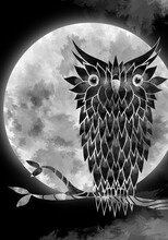 Owl In The Night Moon