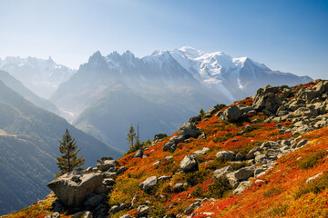 Wall Mural - autumn colors in Chamonix with Aiguille du Midi and Mont Blanc in France