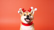 Cute dog wearing Christmas reindeer antlers 