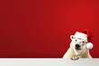 Cute white polar bear wearing a santa hat, on a red background, space for text