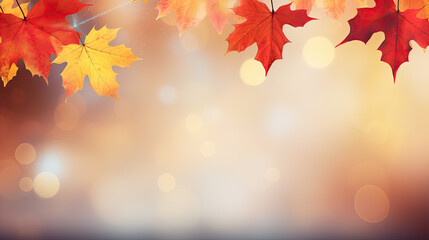 web banner design for autumn season and end year activity with red and yellow maple leaves with soft
